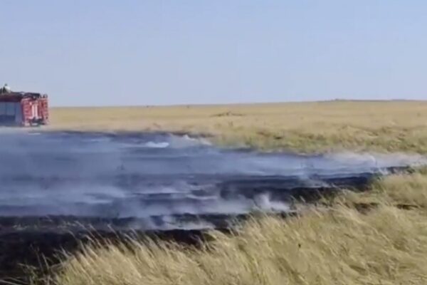 СҚО-дағы Тайынша ауданында 15 гектар дала өрті толық сөндірілді