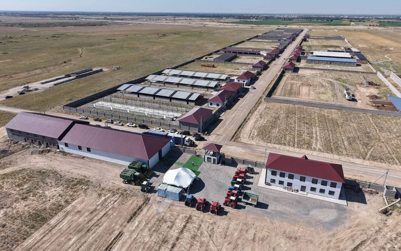 Түркістан облысында елімізде теңдесі жоқ мал бордақылау кешені салынуда