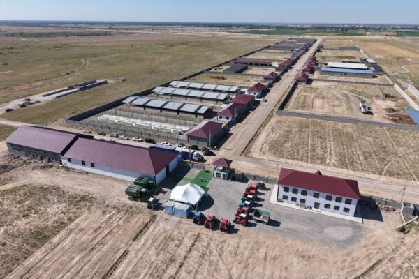 Түркістан облысында елімізде теңдесі жоқ мал бордақылау кешені салынуда