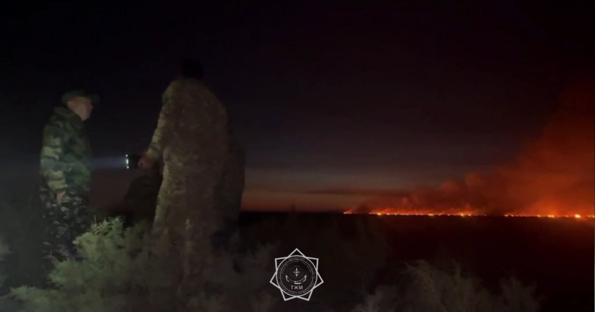 Алматы облысында құрғақ шөп пен қамыс өртеніп жатыр