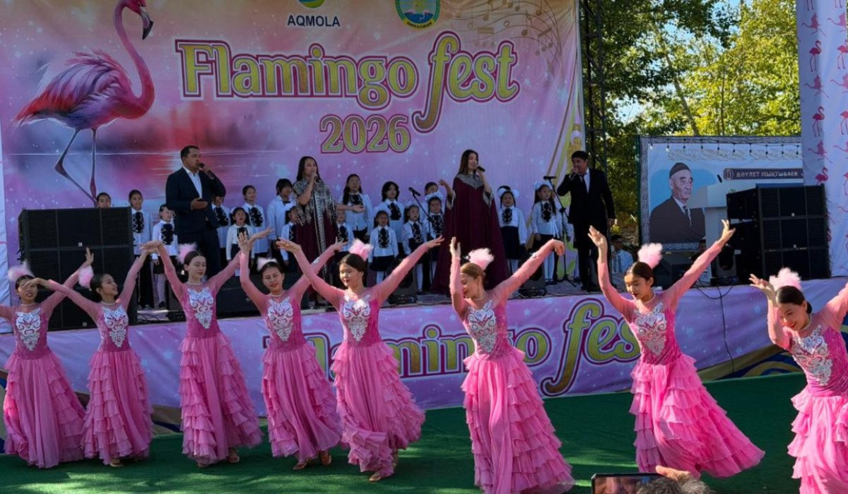 Қорғалжында Flamingo Fest фестивалі: қызғылт қоқиқаздар мен мәдениет тоғысы
