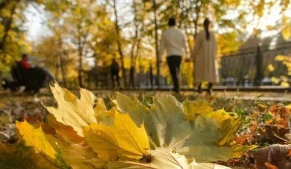 Қазақстанда күз жылы әрі құбылмалы болмақ