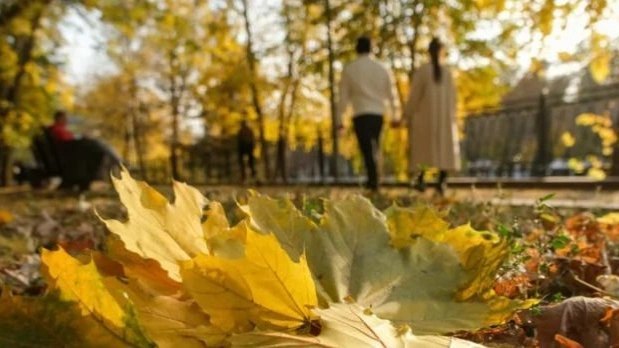 Қазақстанда күз жылы әрі құбылмалы болмақ
