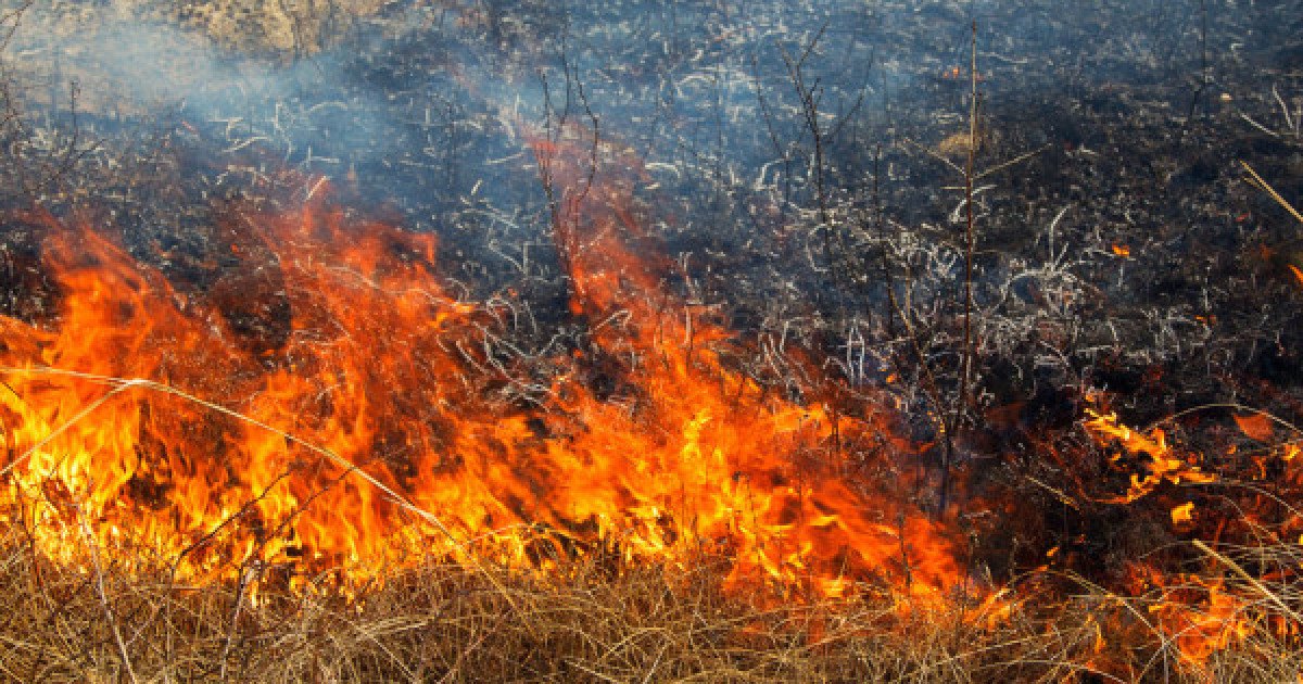 Жітіқарадағы өртті сөндіруге 189 адам жұмылдырылды